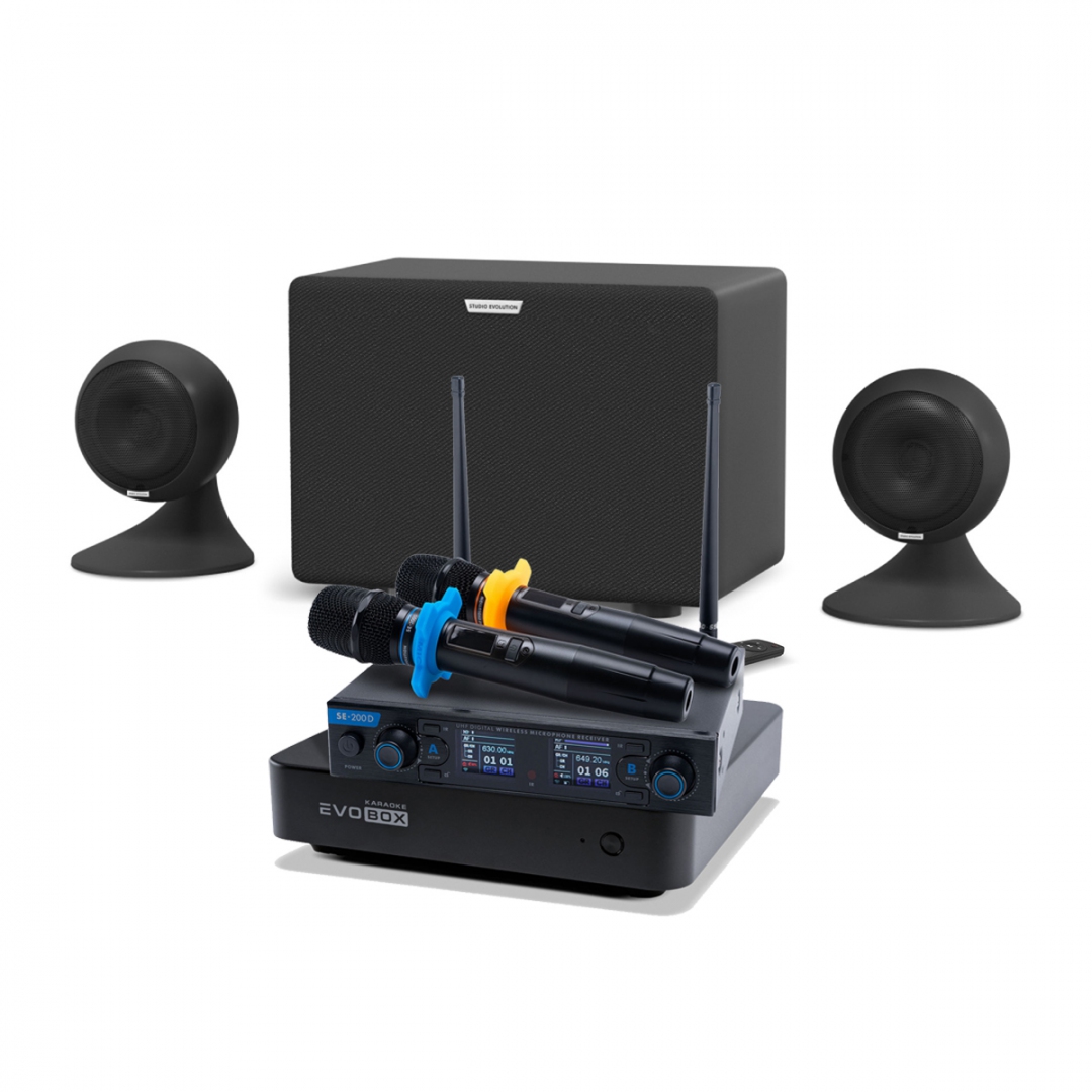 караоке-комплект EVOBOX + EvoSound Sphere 2.1 в Чукотском АО