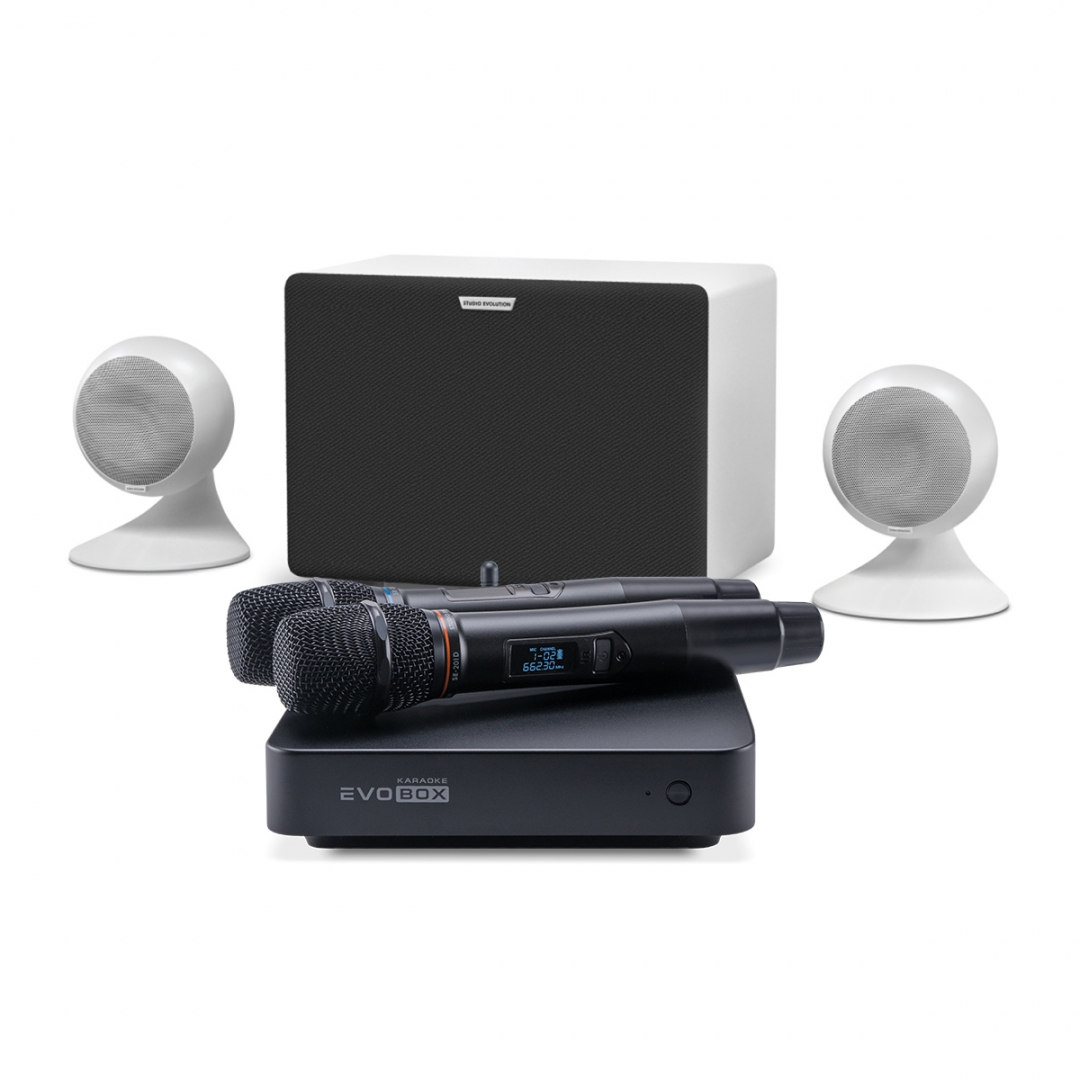 караоке-комплект EVOBOX Classic + EvoSound Sphere 2.1 в Чукотском АО